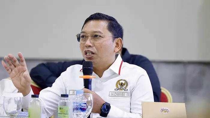 Anggota Komisi IX DPR RI Zainul