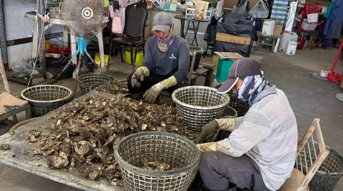 KUR Pekerja Migran Jadi Kunci Perlindungan Ekonomi Pahlawan Devisa