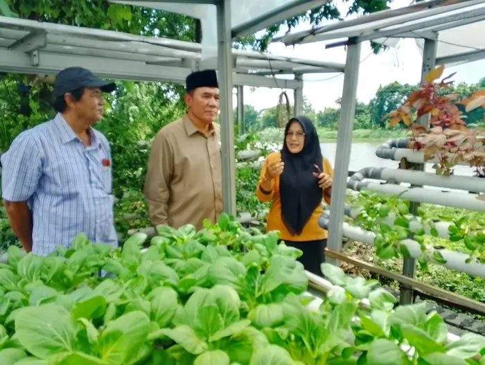 Manfaatkan Lahan Terbatas Jadi Lumbung Pangan, BHS Puji Inovasi Hidroponik KWT Kedurus