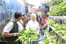Panen Hasil Tanam Hidroponik, Ida Fauziyah Ungkap Pentingnya Pelatihan Berbasis Kompetensi