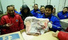 Ribuan Ton Daging Beku Siap Amankan Kebutuhan Lebaran 2023