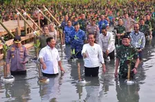 Jokowi Apresiasi Kegiatan Penanaman Mangrove Serentak