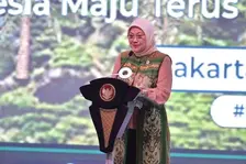Job Fair Nasional 2023 Sediakan Puluhan Ribu Lowongan Kerja