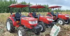 Kementerian Pertanian Fokus Pacu Produksi Tebu Nasional