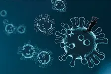 Jelang Mudik, Kemenkes Minta Masyarakat Waspada Arcturus
