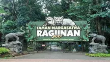 Taman Margasatwa Ragunan Tetap Buka, Yuk Liburan