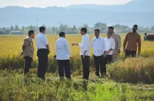 Tinjau Lumbung Pangan ke Maros, Jokowi Harapkan Bisa Surplus