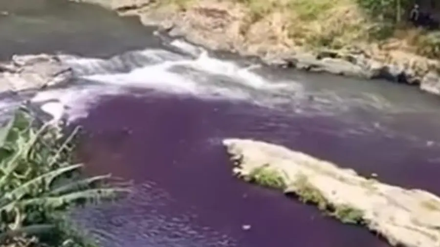 Sungai Brantas Mendadak Berubah Warna Jadi Ungu Gelap 1000027165
