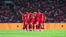 Timnas indonesia