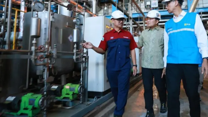 Direksi PLN