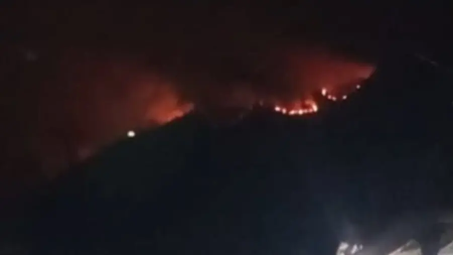 Kobaran Api Membara di Puncak Gunung Wilis 1582115