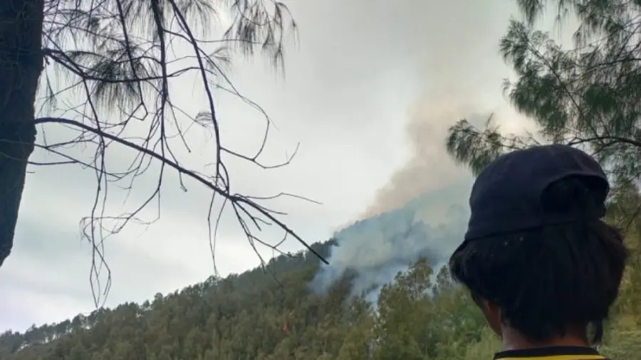 Kebakaran Gunung Kawi Meluas Capai 1.459 Hektare 1001236930
