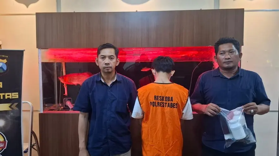 Pengedar Ribuan Pil Koplo di Surabaya Berhasil Dibekuk 1566813