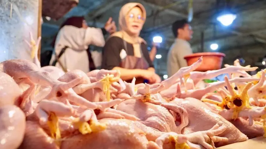 Harga Ayam di Pasaran Tembus Rp40 Ribu per Kg Harga ayam