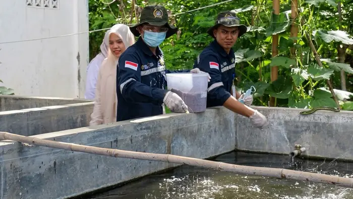 Dua peserta berseragam biru tua dengan topi hijau, kacamata pelindung, dan sarung tangan memegang ember berisi pakan di tepi kolam beton. Seorang perempuan berhijab krem tampak tersenyum di belakang mereka. Di latar belakang terdapat tanaman rimbun, dan seekor ular hijau kecil tampak di bibir kolam sebelah kanan.